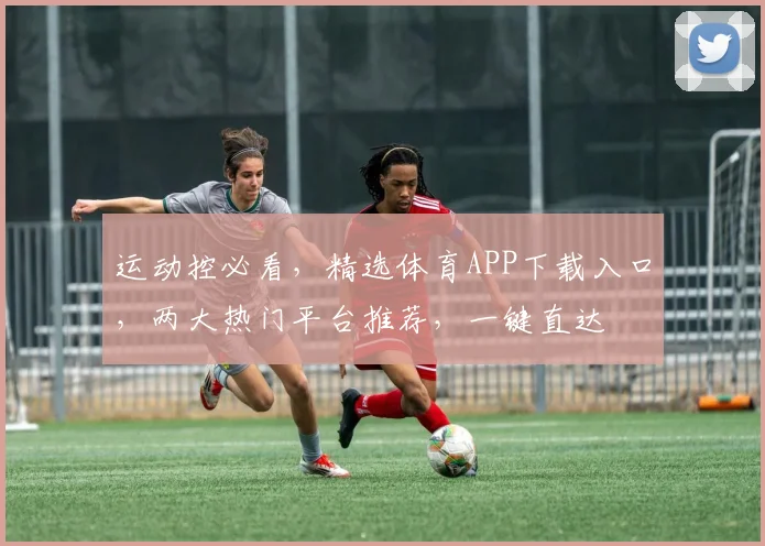 运动控必看，精选体育APP下载入口，两大热门平台推荐，一键直达