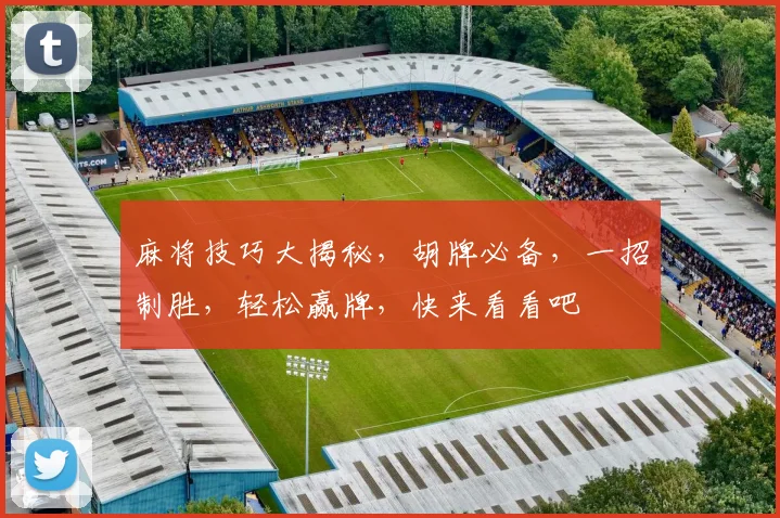 麻将技巧大揭秘，胡牌必备，一招制胜，轻松赢牌，快来看看吧