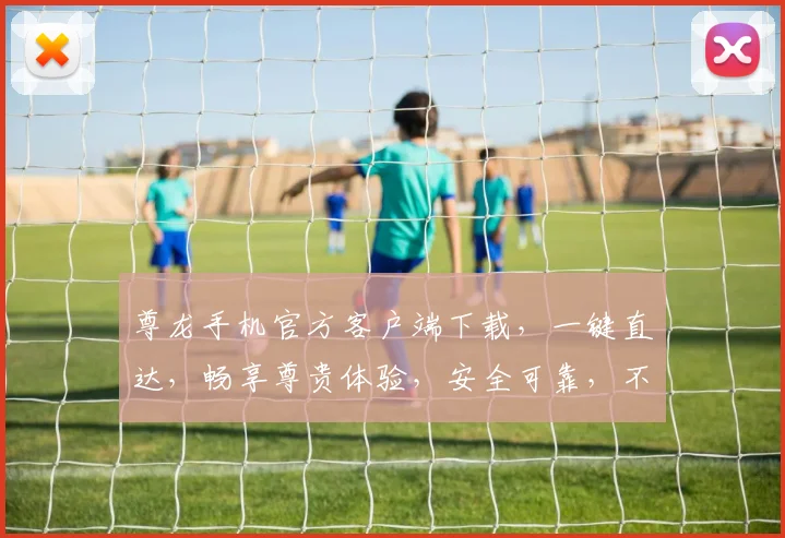 尊龙手机官方客户端下载，一键直达，畅享尊贵体验，安全可靠，不容错过，立即下载