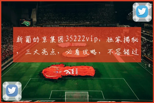 新葡的京集团35222vip，独家揭秘，三大亮点，必看攻略，不容错过