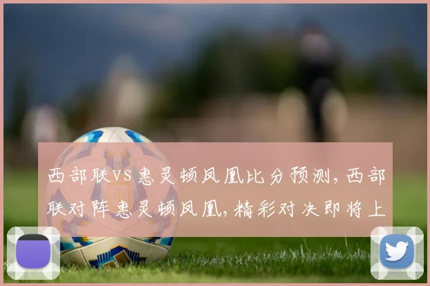 西部联vs惠灵顿凤凰比分预测,西部联对阵惠灵顿凤凰,精彩对决即将上演,悬念重重